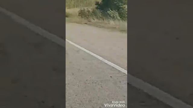 Дорога Барнаул Ельцовка ч 2 смотреть онлайн