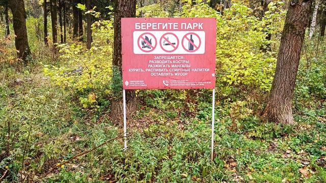 Learn Russian Words | Learn Russian Vocabulary | Autumn Forest In Russia #russian #russianlessons