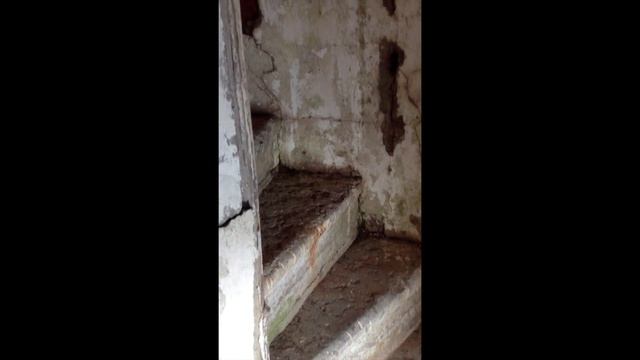 Поход на катере. Ладога. Маяк Сухо смотреть онлайн