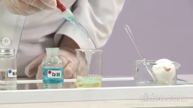 Практическая работа № 4 Определение питательных веществ в составе пищи смотреть онлайн