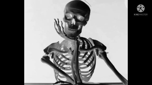 Ghost sounds/Bhoot sounds/Horror sounds/Ghost video/Bhoot video/Horror video /Whatsapp Bhoot status смотреть онлайн