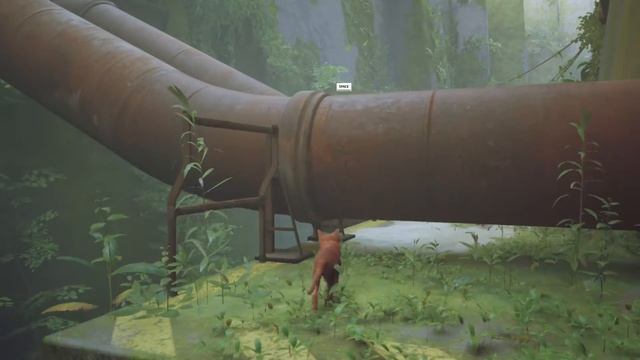 IAM CAT | STRAY Gameplay | Core i3 1005g1 + UHD GRAPHICS G1(8GB) смотреть онлайн