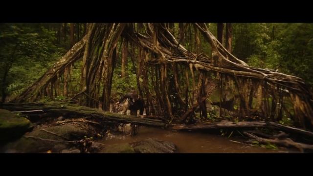 Up From The Depths Reviews | Every MonsterVerse Movie (So Far) смотреть онлайн
