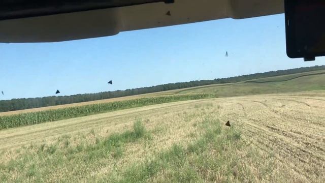 Какой ячмень в конце Августа? Доступное картирование урожайности смотреть онлайн