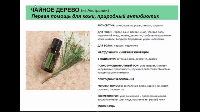 Эфирное масло чайного дерева смотреть онлайн