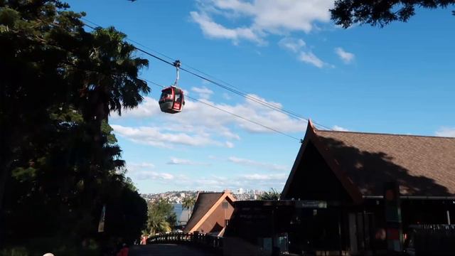 living in australia | A Day at Taronga Zoo (seeing otters for the first time!) 🦦🚠❤️ смотреть онлайн