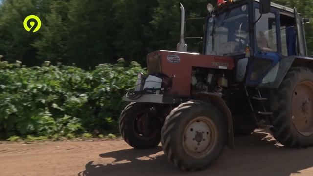 Борьба с борщевиком Наш эксперимент смотреть онлайн