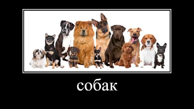 ГАЙД по OLD WORLD: Победа через чудеса