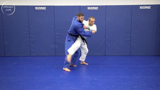Ashi-guruma to Tani-otoshi - Combination demo смотреть онлайн