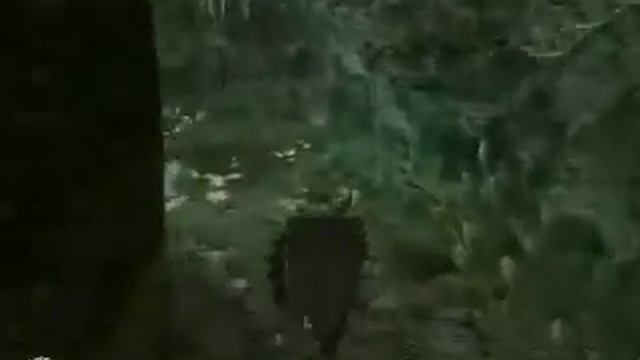 Gothic 3 - Droga do maga ognia Rakusa смотреть онлайн