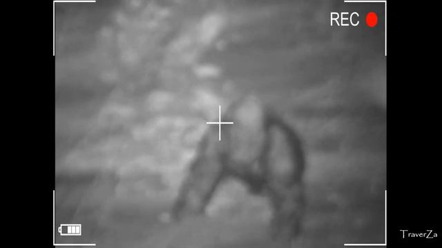 Неужели к нам крадется снежный человек   Yeti Coming Is Not He