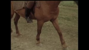 По России слух пошел, Николай с ума сошел...