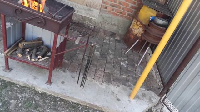 Домашние Животные и Их Уход