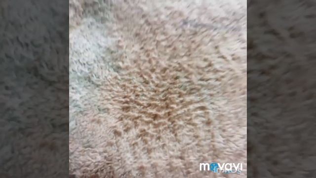 Убрать фломастер без следа за 1 минуту! смотреть онлайн