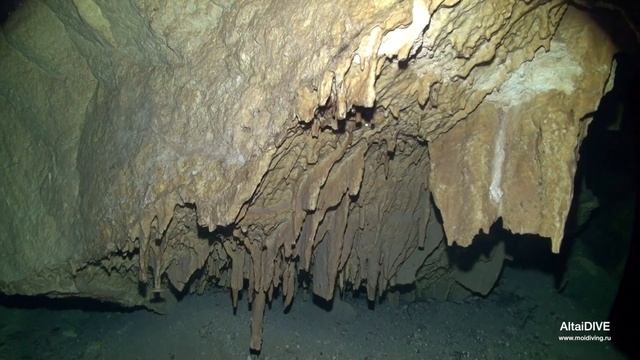 Cenote Kukulkan. Мексика, Юкатан. смотреть онлайн