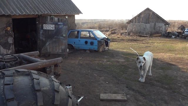 Вездеход и багги с двигателем Ока, начало постройки.Часть 1. смотреть онлайн