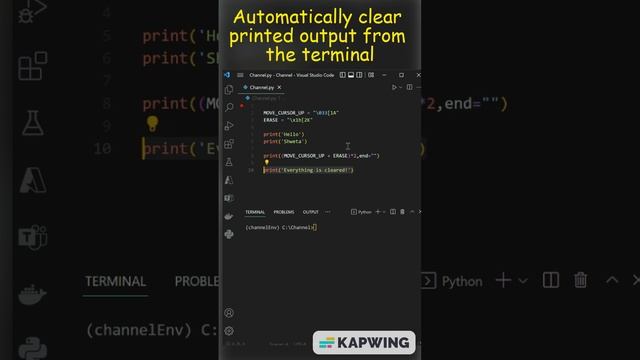 Automatically Clear Printed Output From Terminal Using Python смотреть онлайн