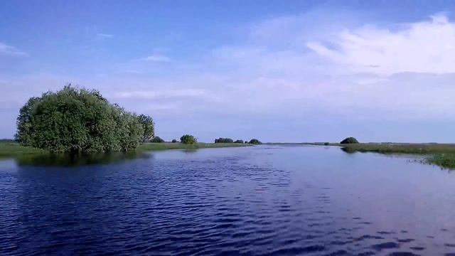 ПРИРОДА смотреть онлайн