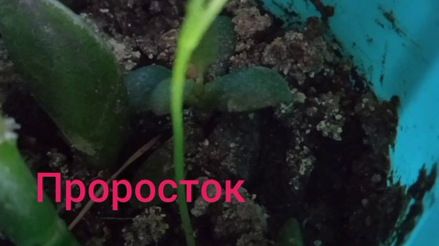 8 марта 2023 г.(3) смотреть онлайн