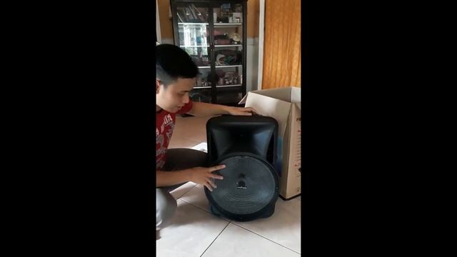 REVIEW SPEAKER ADVANCE K1501 смотреть онлайн