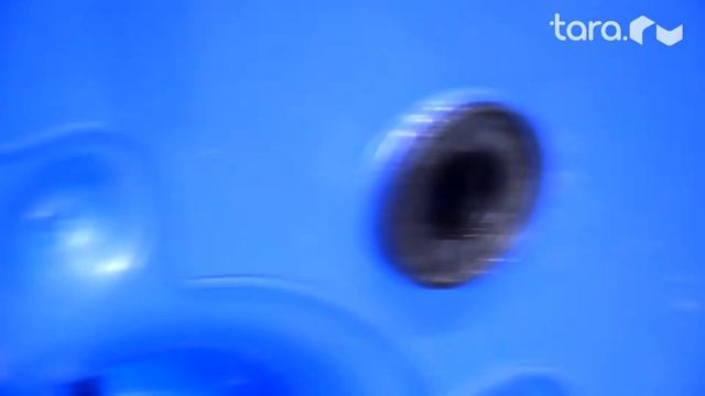 Мусорный контейнер для ТКО российского производства