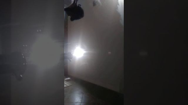 Dark Demonic Voices in the Bathroom смотреть онлайн