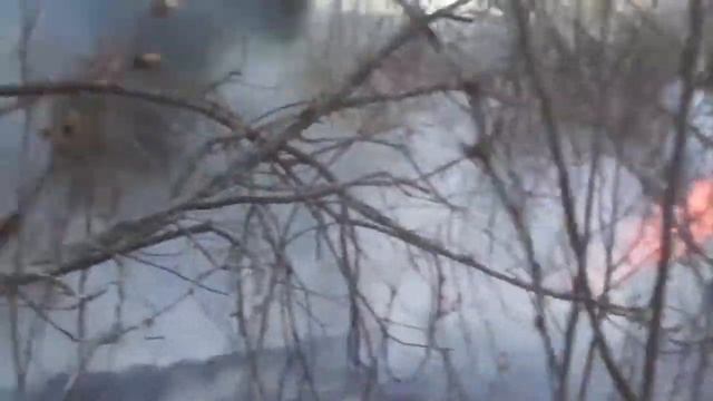 Пример низового пожара смотреть онлайн