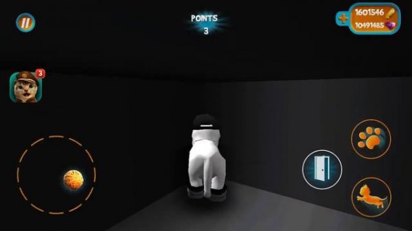 error in cat simulator 2015.