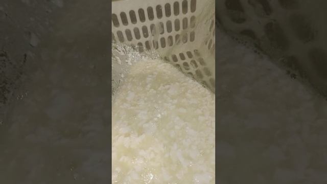Приготовление творога смотреть онлайн