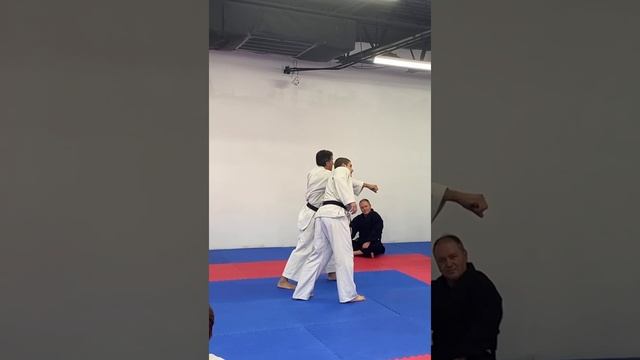 Practical: Kanku Dai Kusanku Bunkai #karate #martialart #shotokankarate #mma смотреть онлайн