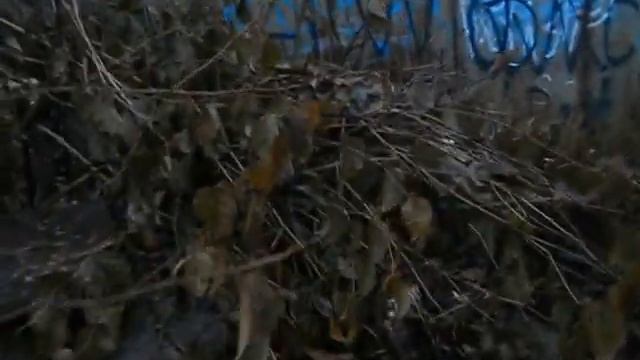 DSCN9972 смотреть онлайн