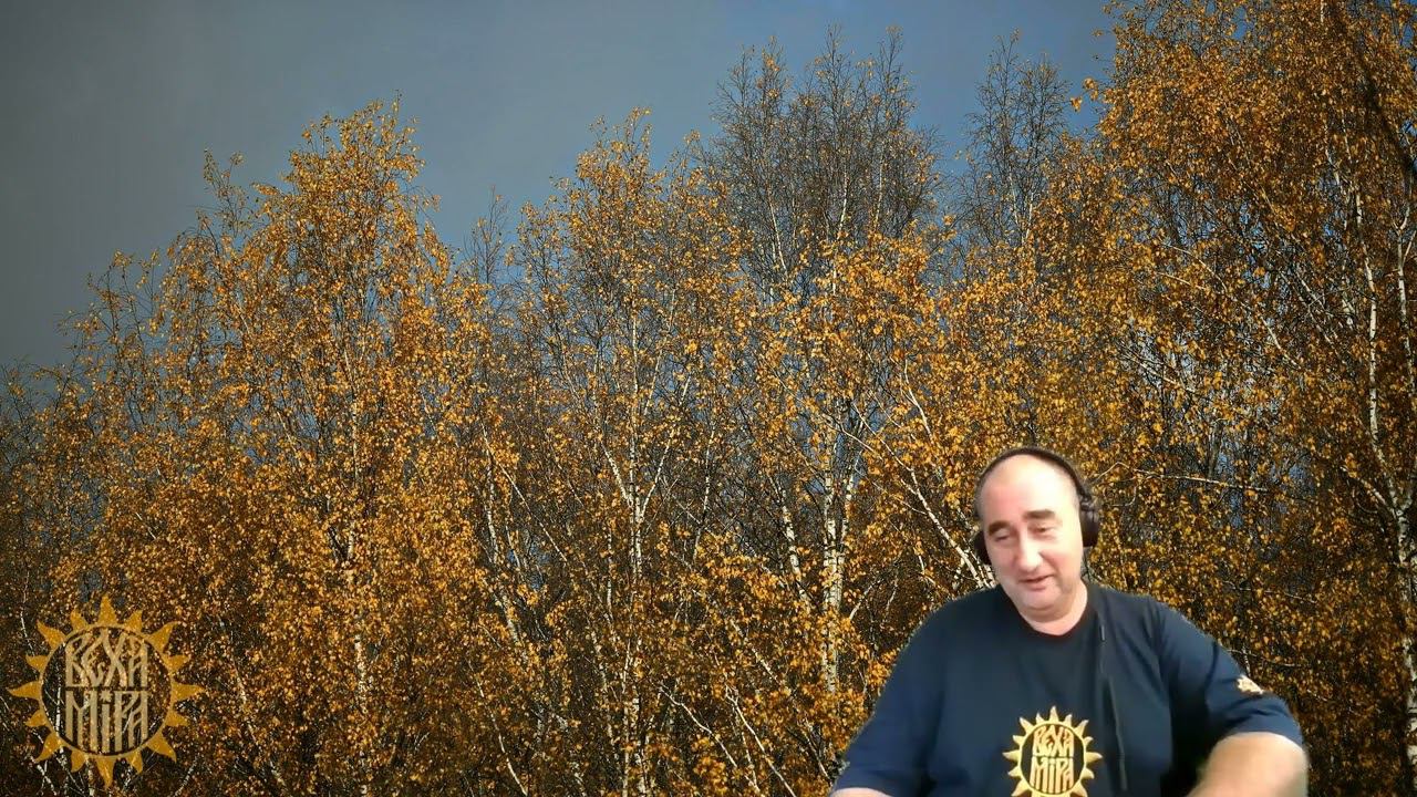 Как выйти из Матрицы смотреть онлайн