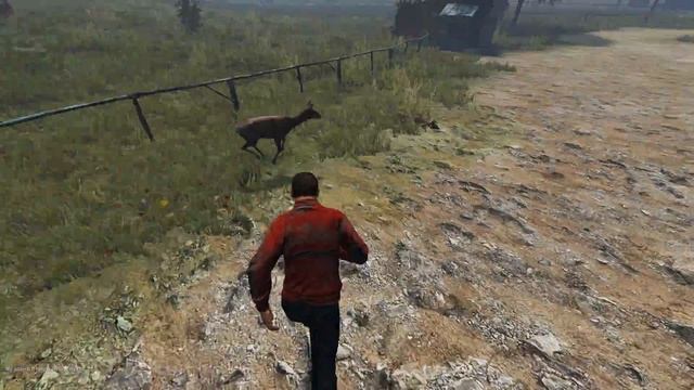 Dayz Standalone животные на пропитание, выживание по фану смотреть онлайн