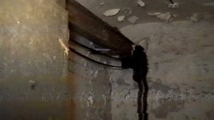 МЕНЯ ЗАКРЫЛИ В ЗАБРОШЕННОМ БУНКЕРЕ! САМЫЙ ЖЕСТКИЙ РОЛИК МАСЛЕННИКОВА