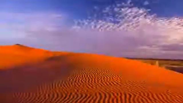 Sting   Desert Rose, Стинг   Роза пустыни бомбезная песня