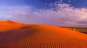 Sting   Desert Rose, Стинг   Роза пустыни бомбезная песня