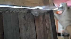 Как убрать осиное гнездо быстро и безопасно. Справится даже бабушка