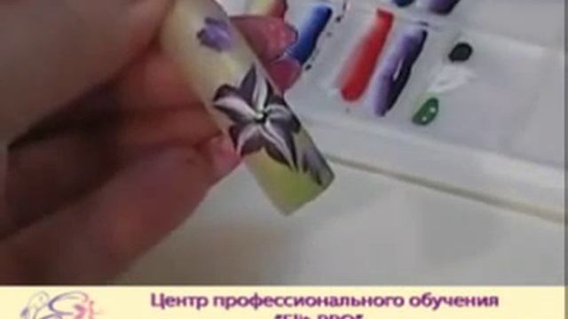 Китайская роспись ногтей. Учебный DVD. ЦПО 