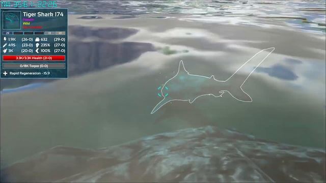 TIGER SHARK | CREATURE GUIDE[ARK MODDED GAMEPLAY] смотреть онлайн