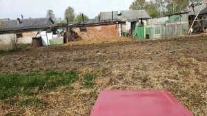 Гусеничный минитрактор пашет , культивирует, сажает картошку.