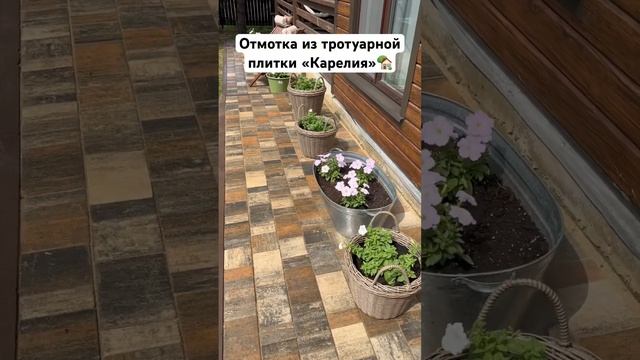 Отмостка из тротуарной плитки? # #брусчатка #дорожки #сад #отмостка #кашпо # #тротуарнаяплитка #дом смотреть онлайн