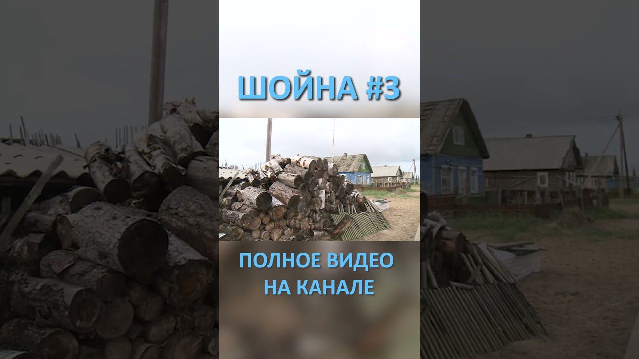 ШОЙНА SHOYNA 3 SHORTS #SHORTS смотреть онлайн