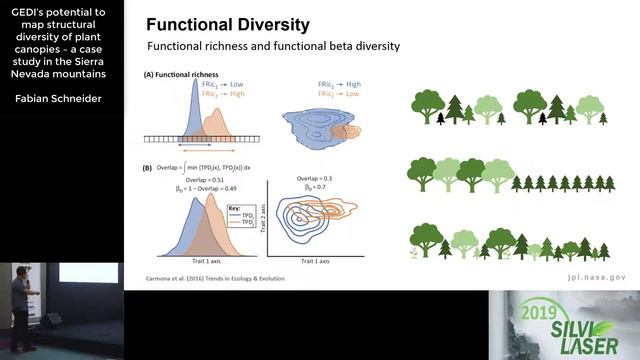 Fabian Schneider - GEDI’s potential to map structural diversity of plant canopies – a case study смотреть онлайн