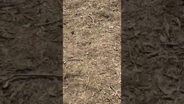 Замор рыбы в мещерском пруду смотреть онлайн