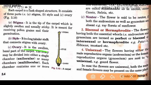 Androecium, Gynoecium & Placentation смотреть онлайн
