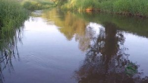 Кебари или Сухая Мушка? Ловля рыбы методом Тенкара на мушку Кебари ВВЕРХ по течению.