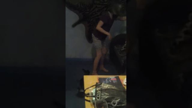 Моя собака-бака смотреть онлайн