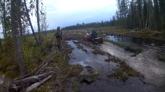 на Койре. Лужа смотреть онлайн