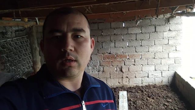 1 kvadrati 500 000 som / 1 квадрат 500 000 сом 97 010 17 54 смотреть онлайн