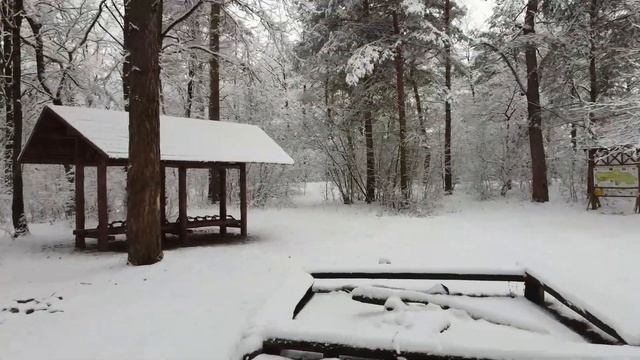 Зимние_пейзажи_с_дрона.__Виды_с_высоты_птичьего_полета смотреть онлайн